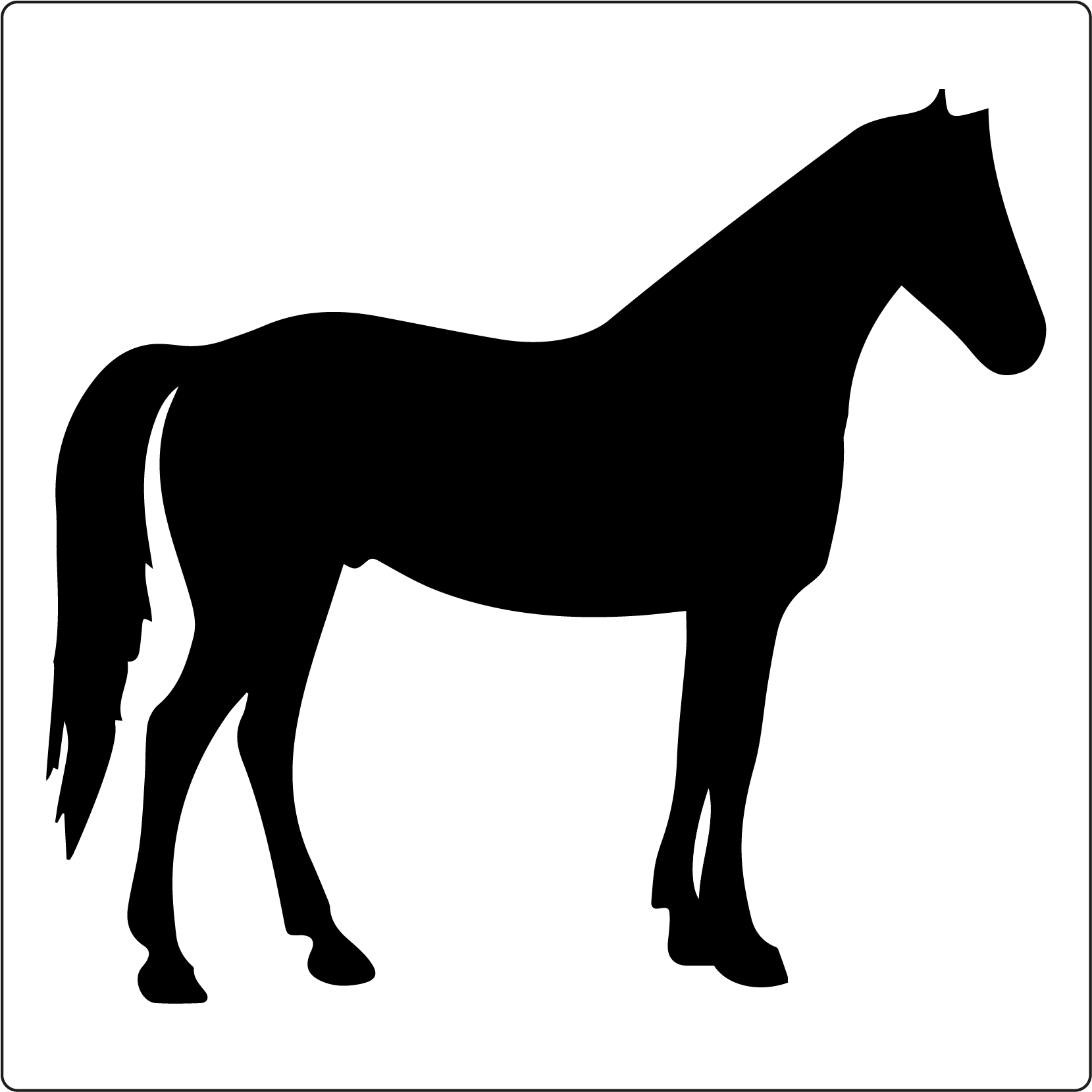 Pferd