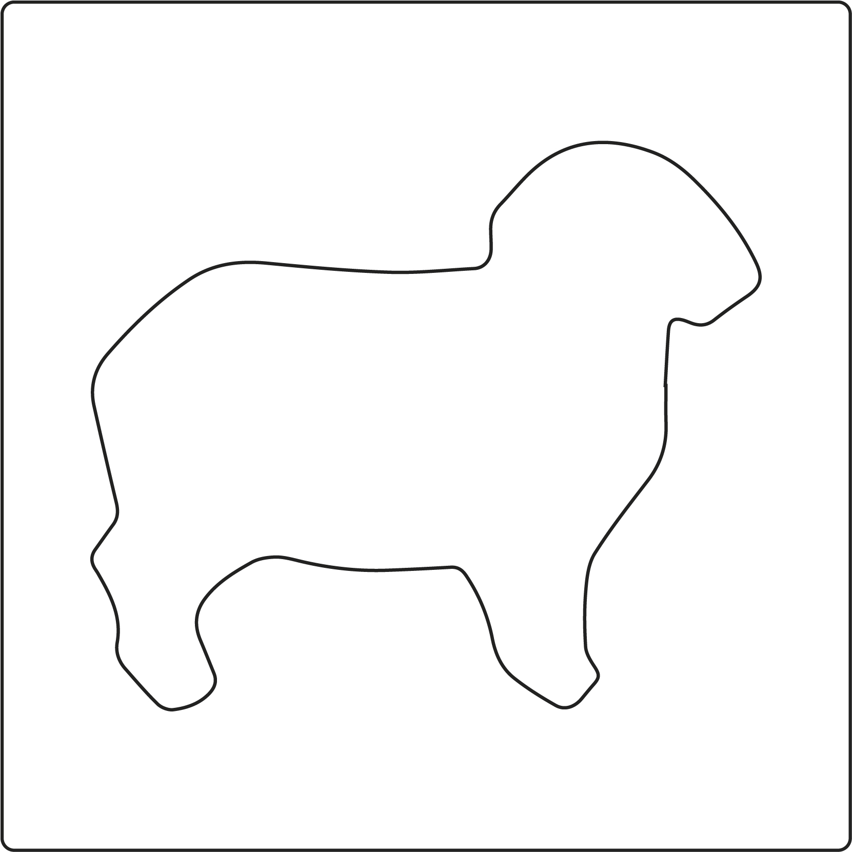 Schaf 1