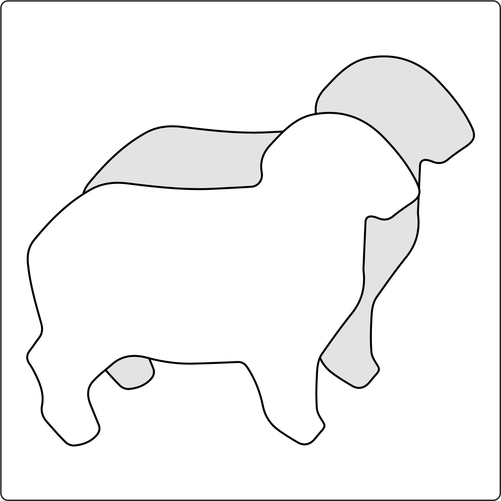 Schaf 2