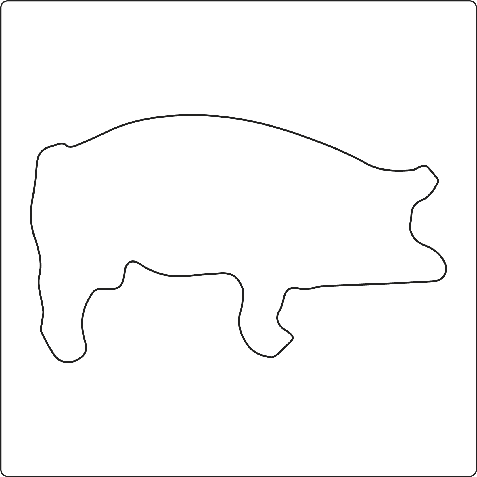 Schwein 1