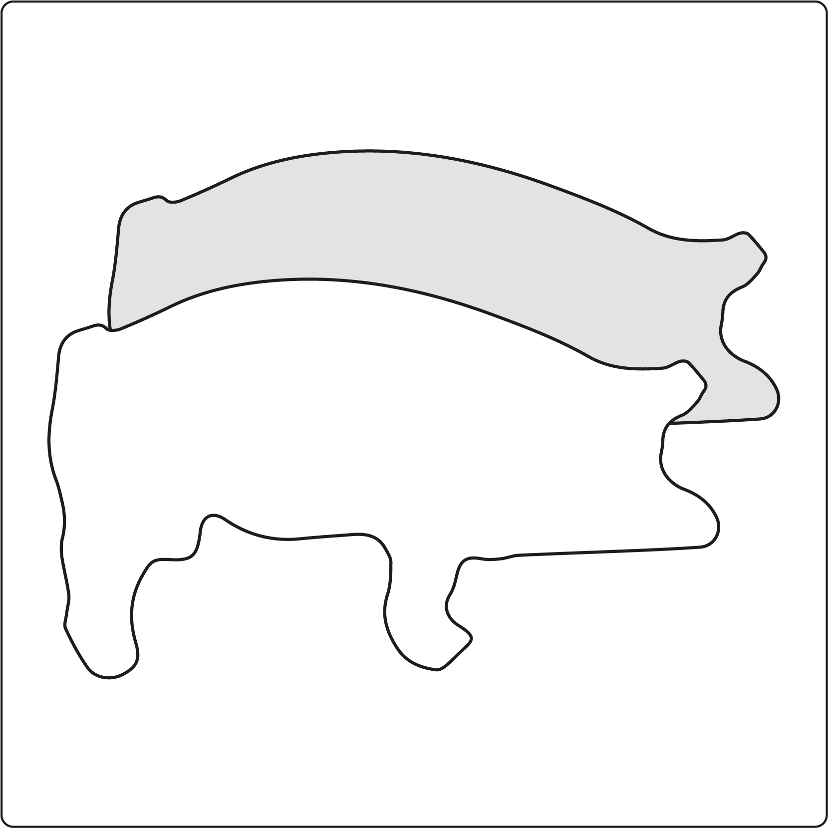 Schwein 2