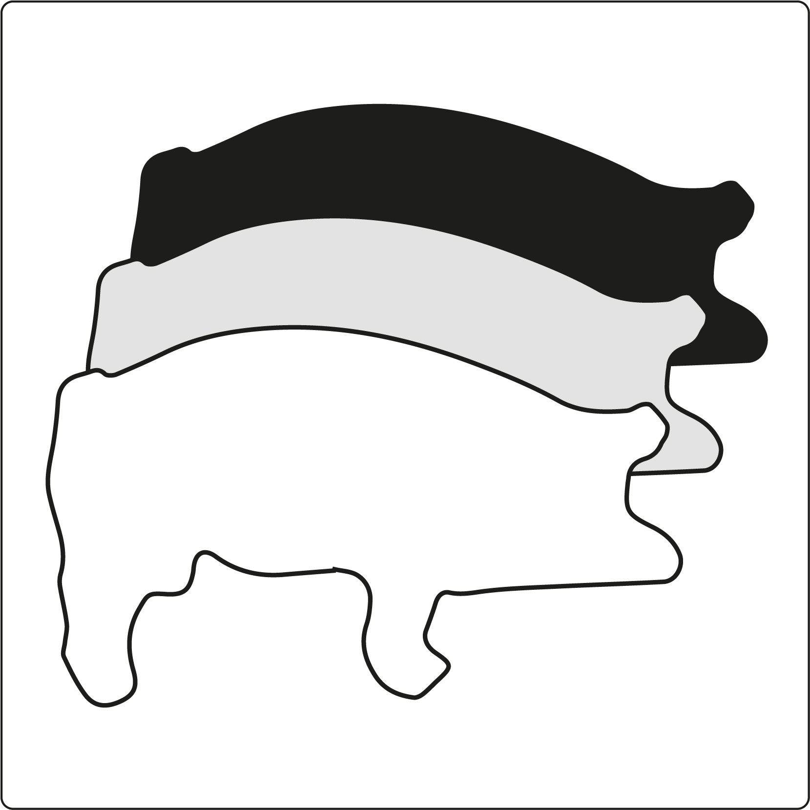 Schwein 3